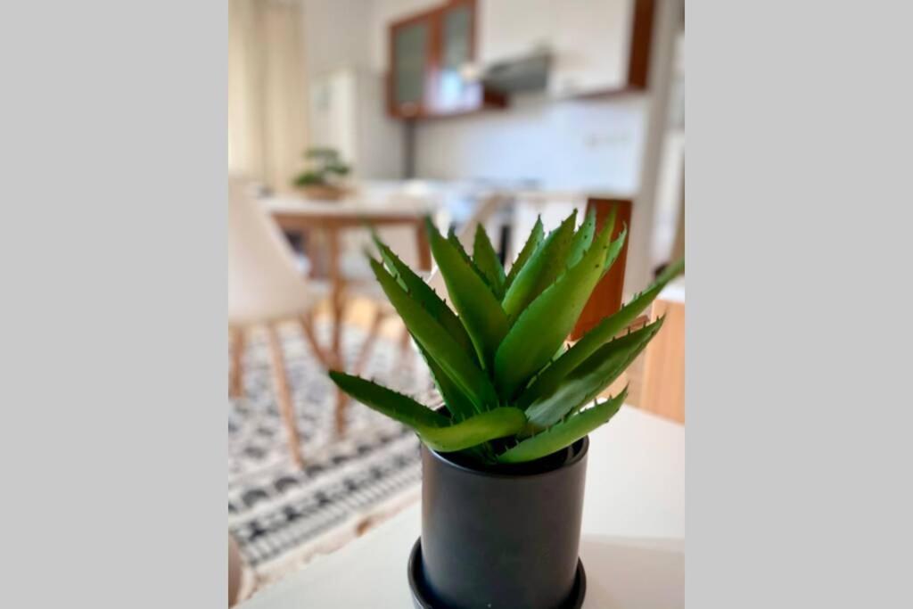 Cozy Apartment Umag Luaran gambar
